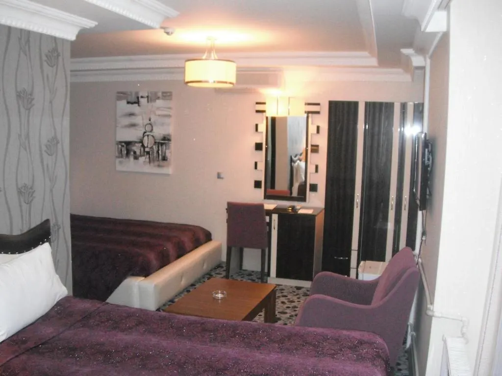 Ankara Risiss Hotel 2*,  Turkey